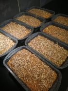 Rugbrød - Vegan - Glutenfri - Laktosefri