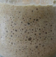 Opskrift på glutenfri surdej. En let surdej der får dit bageværk til at smage himmelsk